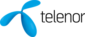 Telenor company logo — Multiple Technical Management Roles